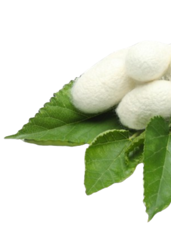 Silk Amino Acids