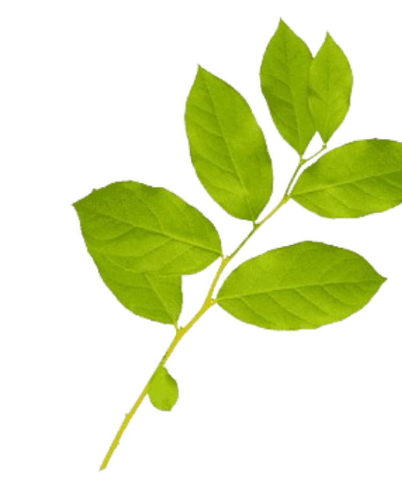 Glycolic Acid