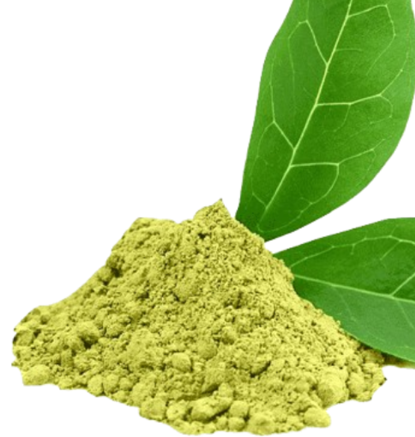 Green Tea Extract