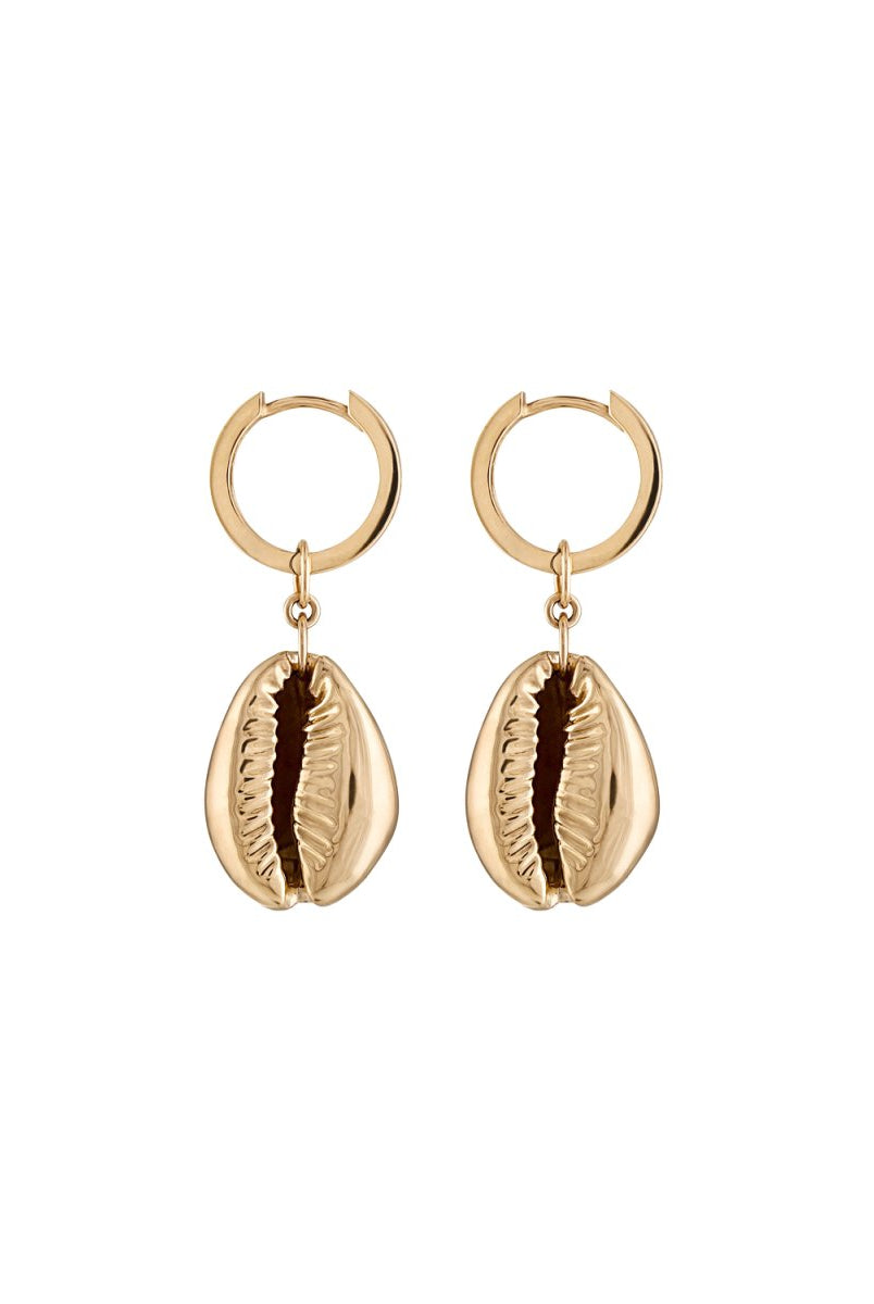 Cowrie Gold Earrings Petite - Zigleys
