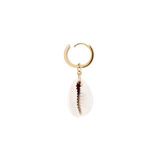 Cowrie - Zigleys